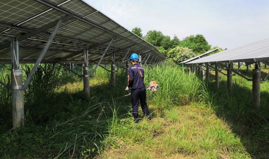 传承五四精神，能源运维青年续写青春华章 