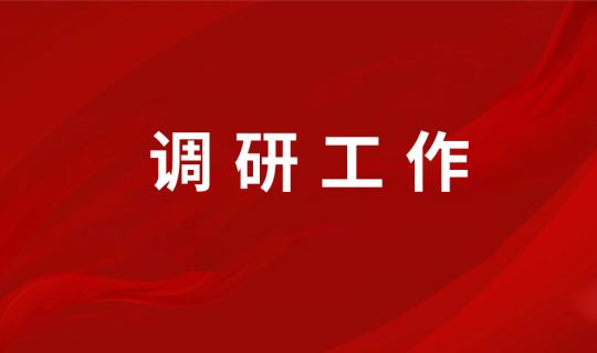 集团公司副总经理洪余和率调研组到省水投能源发展有限公司开展投资管理情况调研工作